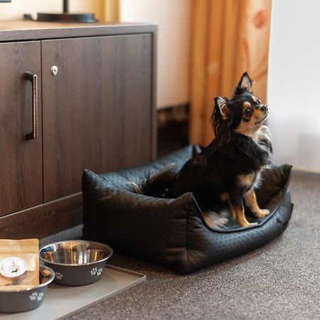 Gemuetliches Apartment Mit Blick Zur Frauenkirche Dresden Ngoại thất bức ảnh