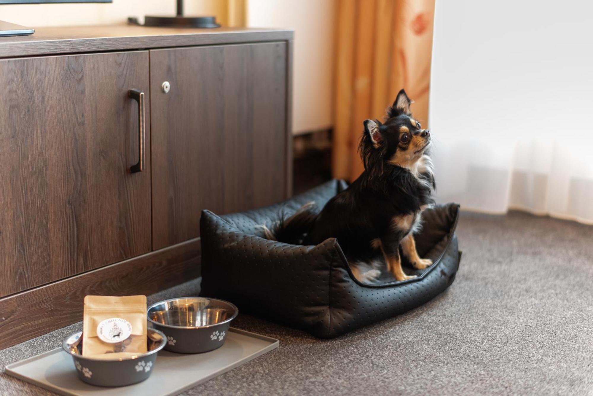 Gemuetliches Apartment Mit Blick Zur Frauenkirche Dresden Ngoại thất bức ảnh